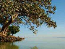 Lake Tana