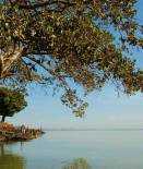 Lake Tana